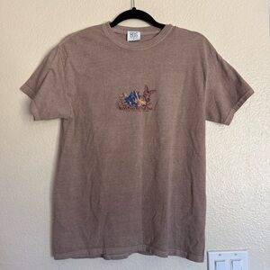 BDG Urban Outfitters Blanca Peaks Oversized Graphic Tee